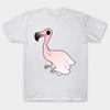 T Shirt Women Flaminghost Harajuku Print Kawaii Tshirt Summer Short Sleeve Female T-Shirt Top Tee