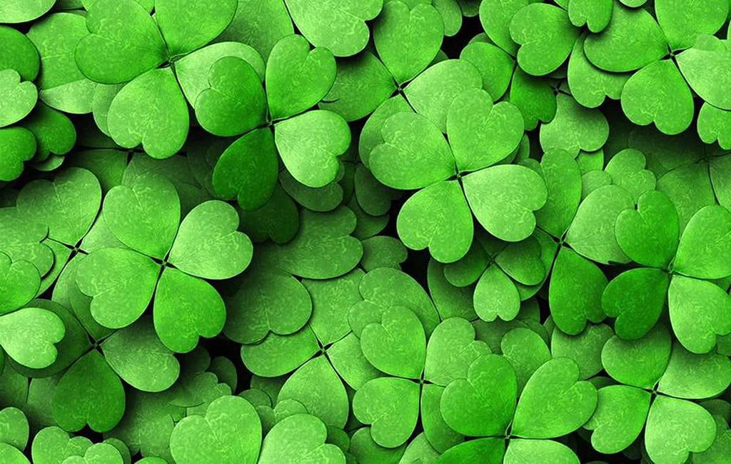 tfb 2021 Flower Clover Light Premium Ballpoint Yasutaka Takeuchi F-STYLE Pen, Four-Leaf Design, Blue, Pen,