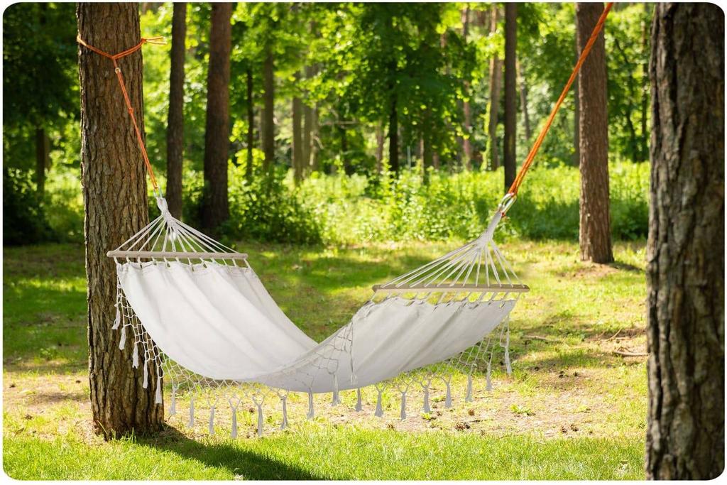 Toledo hammock