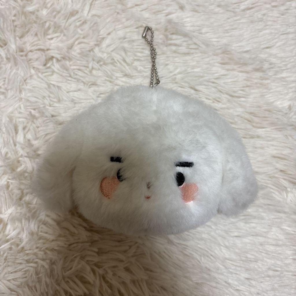 [USED] Sold Out ENHYPEN Sunghoon 8cm Doll Keychain Plush Toy