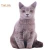 Baby-k 50 см милая имитация трехмерной подушки для кошки с рисунком тигра плюшевая игрушка-кукла