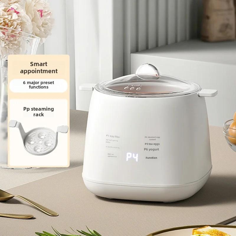 Mini Multifunctional Home Use Automatic Shutdown Egg Boiler 110V Pre-Timed Breakfast Egg Cooker Small Personalized Motorcycle Eq