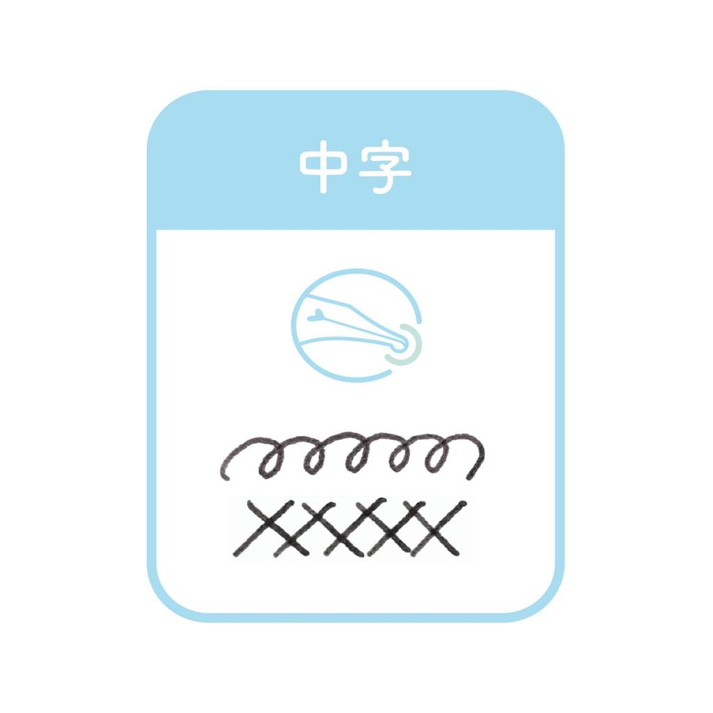 Sailor fountain pen Перьевая ручка с перьевым наконечником Hocoro, средний наконечник, серый 12-0135-421