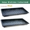 Thickened Plastic Succulent Seedling Tray for Cultivation & Cutting