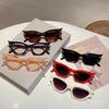 Trendy Retro Cat Eye Shades Women New Fashion Leopard Gradient Sunglasses Outdoor Decor Beach Trends Sun Glasses