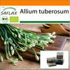 Garden In the Bag - Organic - Garlic-Chives - 100 Seeds - With Substrate In a Fitting Stand Up Bag - Allium Tuberosum