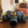 2-5-way Collapsible Cat Tunnel Tube Indoor Kitten Tunnel Toy Pet Self-entertainment Toy Puppy Peek Hole Rabbit Hamster Toys