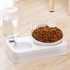 Pet Bowl Automatic Feeder Dog Cat Food Bowl with Water Dispenser Double Bowl Drinking Raised Stand Dish Bowls with Pet Supplies