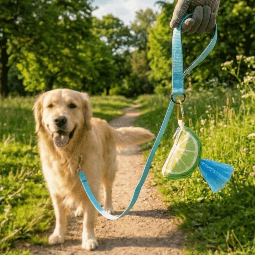 Colorful Dog Poop Bag Case Portable Pet Poop Bag Holder Pet Garbage Bag Dispenser  Travel