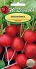 Radish Saxa Globulus Legutko Seeds