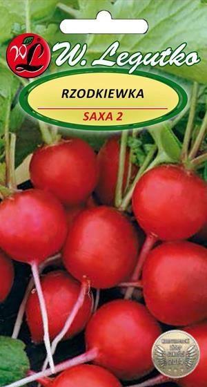 Radish Saxa Globulus Legutko Seeds