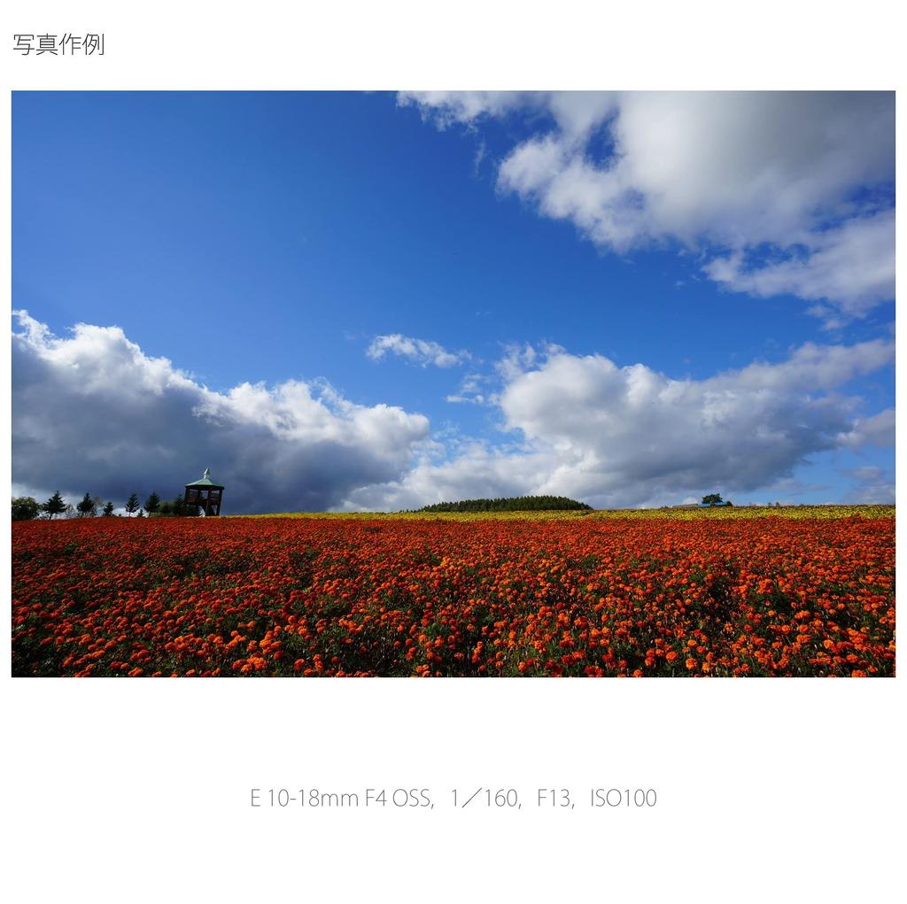 Sony Zoom Lens E F4 OSS for Sony E Mount Exclusive SEL1018 Wide-angle 10-18mm APS-C