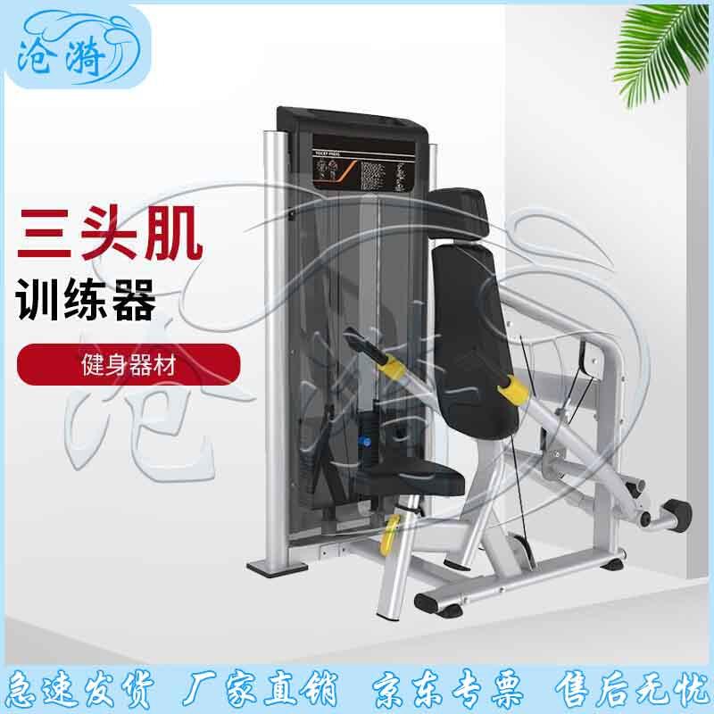 Cangyi Multi-functional Upper Body Strength Trainer