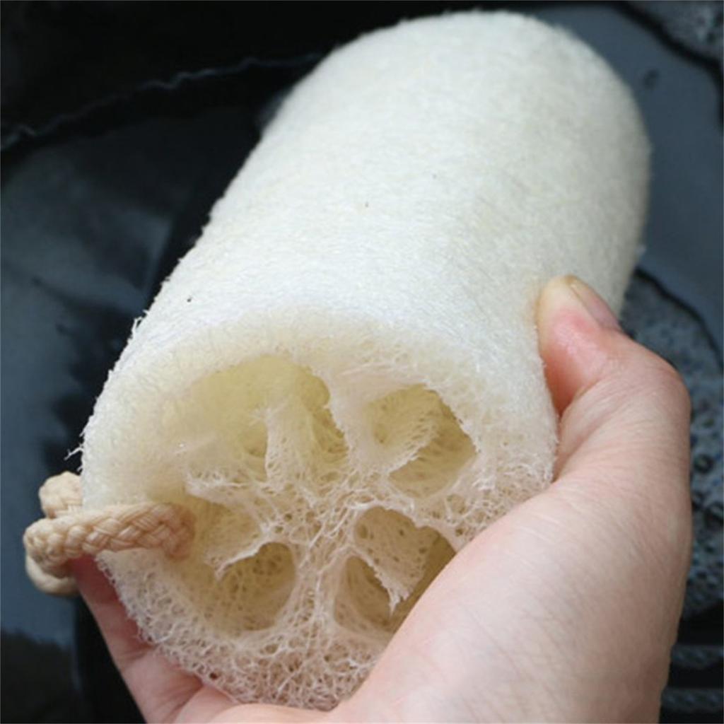 Loofah Sponge Large Exfoliating Shower Premium Natural EcoFriendly Egyptian Shower Loofah Sponge