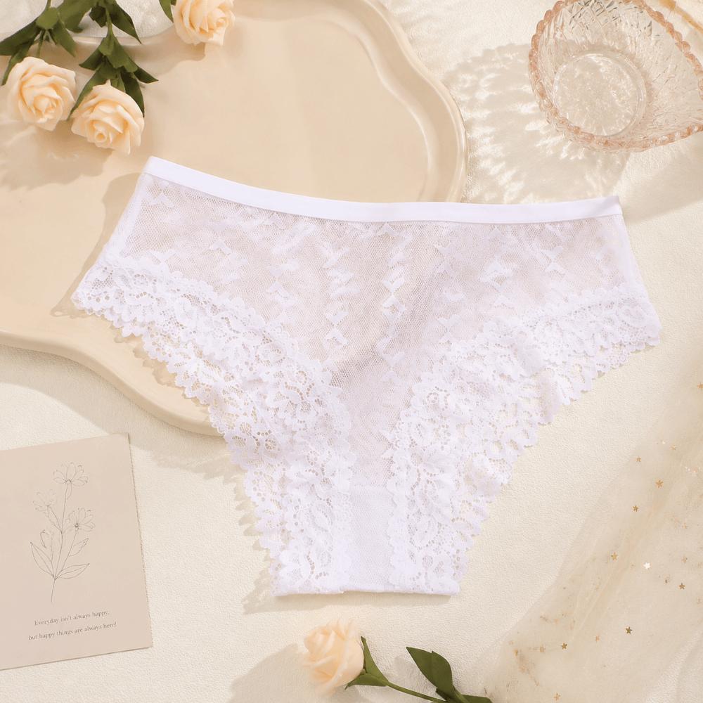 Seamless Lace Trim Briefs Transparent Women Lace Panties Breathable Sheer Mesh Underwear Girls