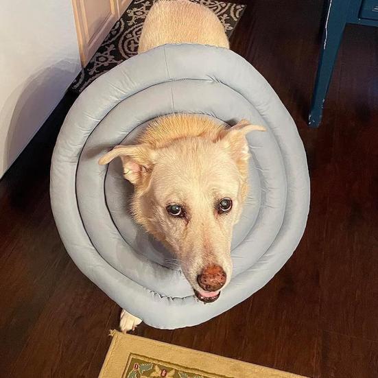 Собачий конус мягкий регулируемый воротник-пончик со шнурком альтернатива конусу для собак после операции для крупных средних маленьких собак и кошек