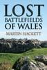 Книга Lost Battlefields of Wales