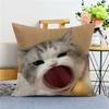 Cat FunnyAbstract Emoji Pillow Cover Removable  Washable Home Cushion Cover