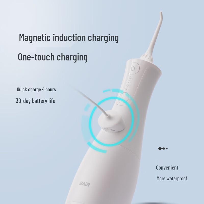 Bayer M301 Professional Electric Water Flosser