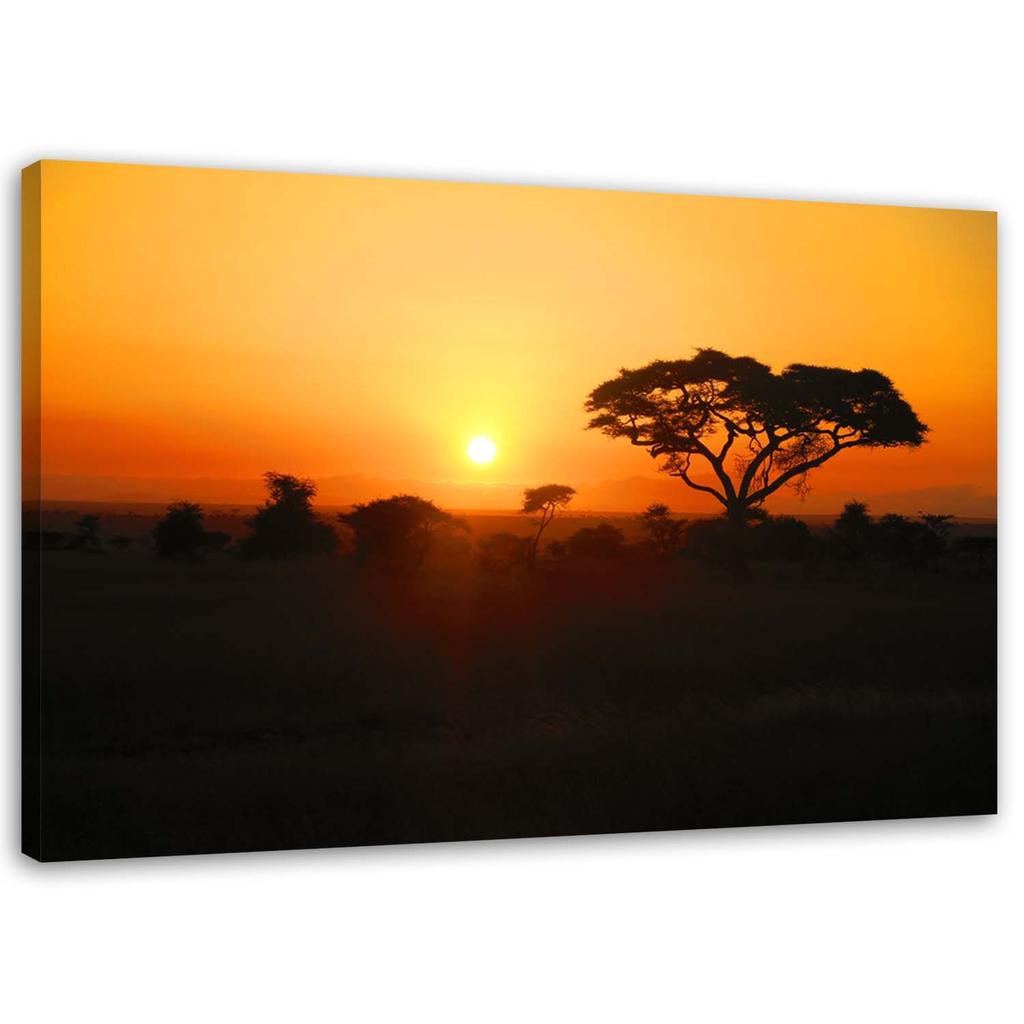 Canvas Print, African Sunset