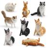 Cat Maine Ragdoll Coon Pvc Realistic Model Toys For Kids Learning And Home Decor