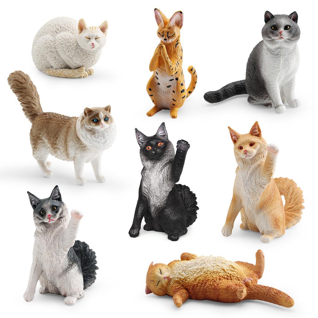 Maine Coon Cat Pvc Figurine For Kids Learning Educational Toy