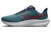 Air Zoom Pegasus 39 Extra Wide 'Spruce Crimson' DM0174-302
