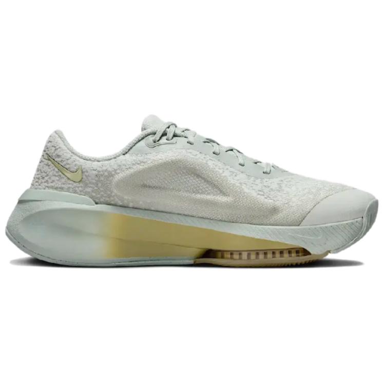 Nike Серия Versair Удобные Универсальные Нескользящие Износостойкие Низкие Тренировочные Кроссовки Женские кроссовки Серый Серебристый Зеленый DZ3547-005