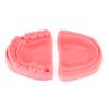2Pcs Dental Oral Gum Suture Training Module Silicone Periodontitis Suture Model