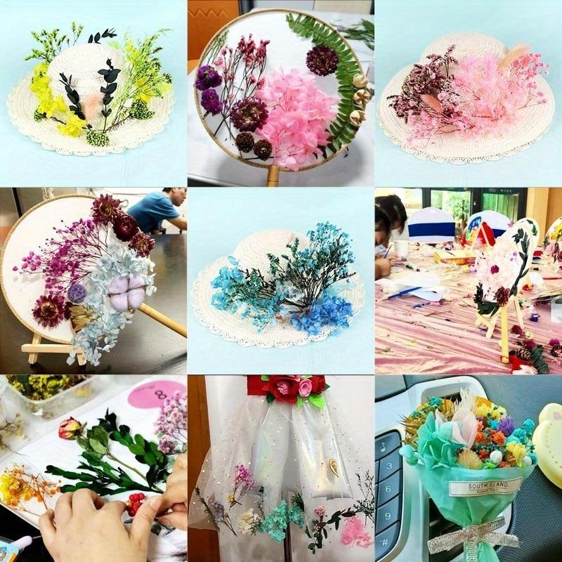 Разноцветные сушеные цветы для рукоделия и DIY-проектов