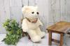 Take Off Lark the Bear Plush Toy Music Box, Small, Ivory