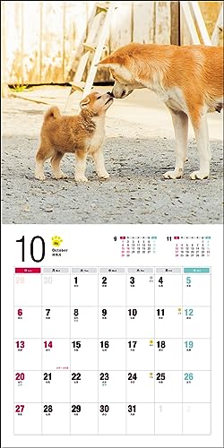 Календарь 2024 Акита-ину (Календарь Seibundo Shinkosha)