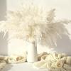 Reed Box Pampas Grass Dried Flower Decoration