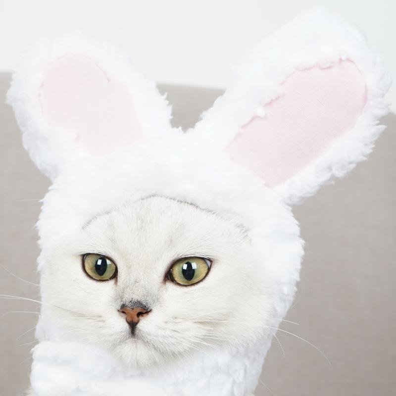 Cat head gear,cute little white rabbit costume hat,cat head wear,performance prop,funny pet hat with rabbitears