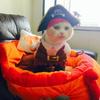 Funny Pet Clothes Pirate Dog Cat Costume Suit Corsair Dressing up Party Apparel Clothing for Cat Dog Plus Hat Pet Dog Costume