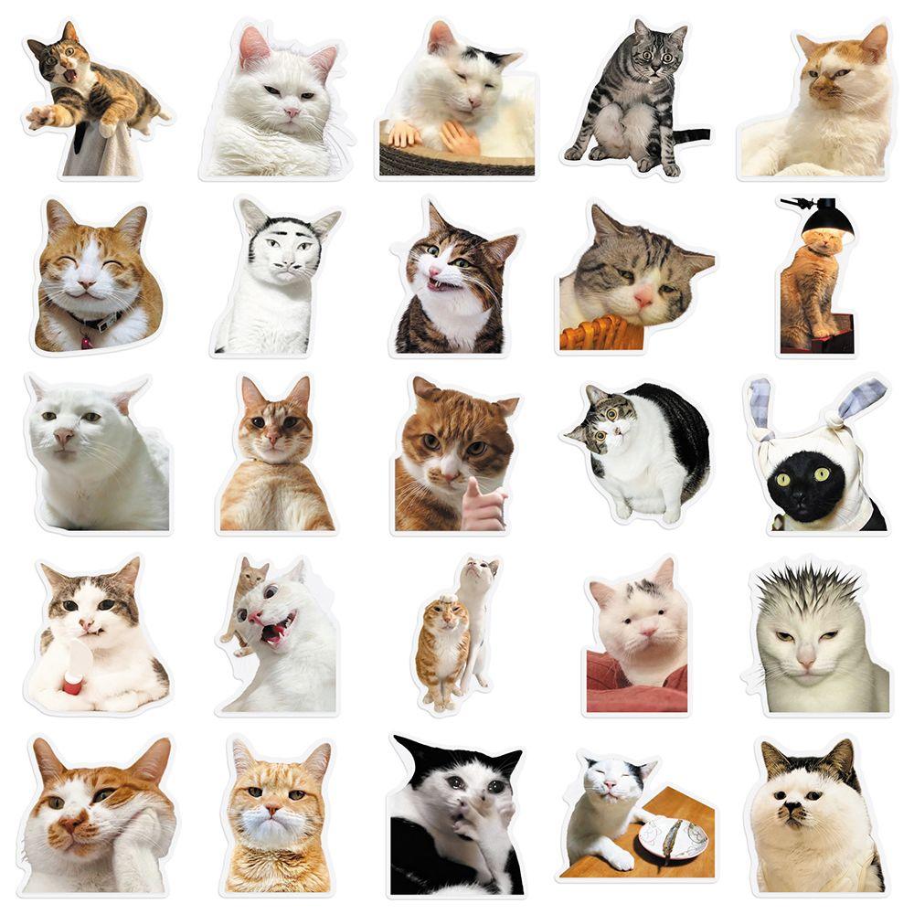50 Pieces Cat PET Stickers Cute Realistic Cat Meme Emoji Decals Decorate Water Cups Stationery Suitcases Fridges Laptops Notebook Scrapbook