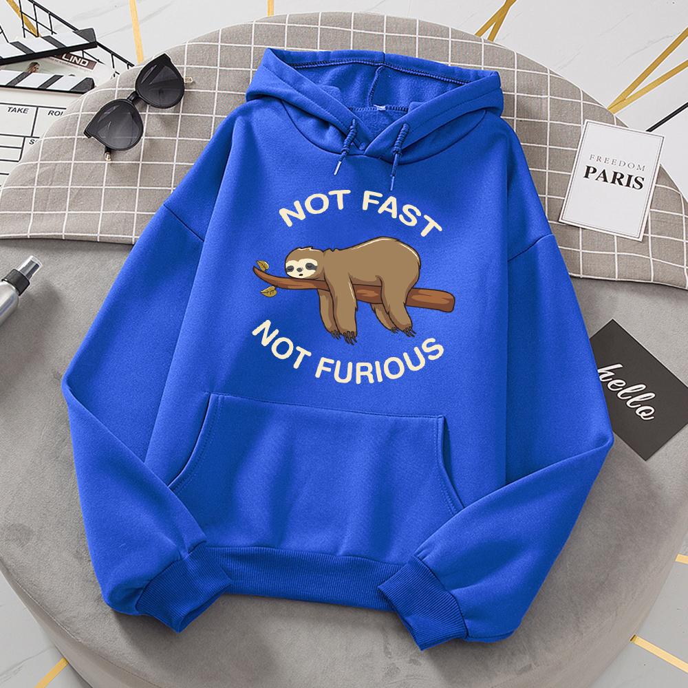 Not Fast Not Furious Sloth Sleeps Hanging From Branches Hoodies Women Novelty Fashion Hoody Loose Basic Hoodie Casual Warm Tops