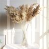 1 Bouquet Whisk Reed Dry Flower Natural Home Decoration Portable Nordic Phragmites Dried Flower for Wedding