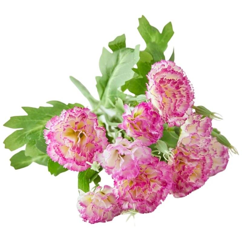 Искусственные цветы Пластиковые цветы гвоздики Поддельный букет гвоздик Искусственные сушеные цветы