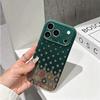 Ornate Emerald Patterned Ethnic Paisley Border Graphic Art Film Aesthetic Protective Shockproof Bumper Case Cover For iPhone 13 14 15 16 Pro Max Plus