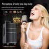 Newmine L23 Outdoor Bluetooth Karaoke Speaker