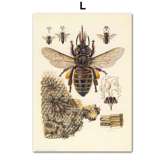 Винтажный постер с насекомыми-жуками, образец ретро-иллюстрации, настенная живопись на холсте, постеры и принты, картина для гостиной без рамки