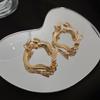 Серьги-кольца из золота с измельченным серебряным цирконом серьги Европейский и американский дизайн серег нишевые