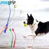 1Set Pet Dog Toy Pet Tossing Cue and Dog Training Toy Ball Launcher Outdoor Dog Molar Toy Puppy Toys Dog Accessories