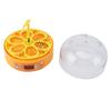 6 Egg Smart Chicken Incubators Automatic Temperature Control Small Display Hatcher Machine for