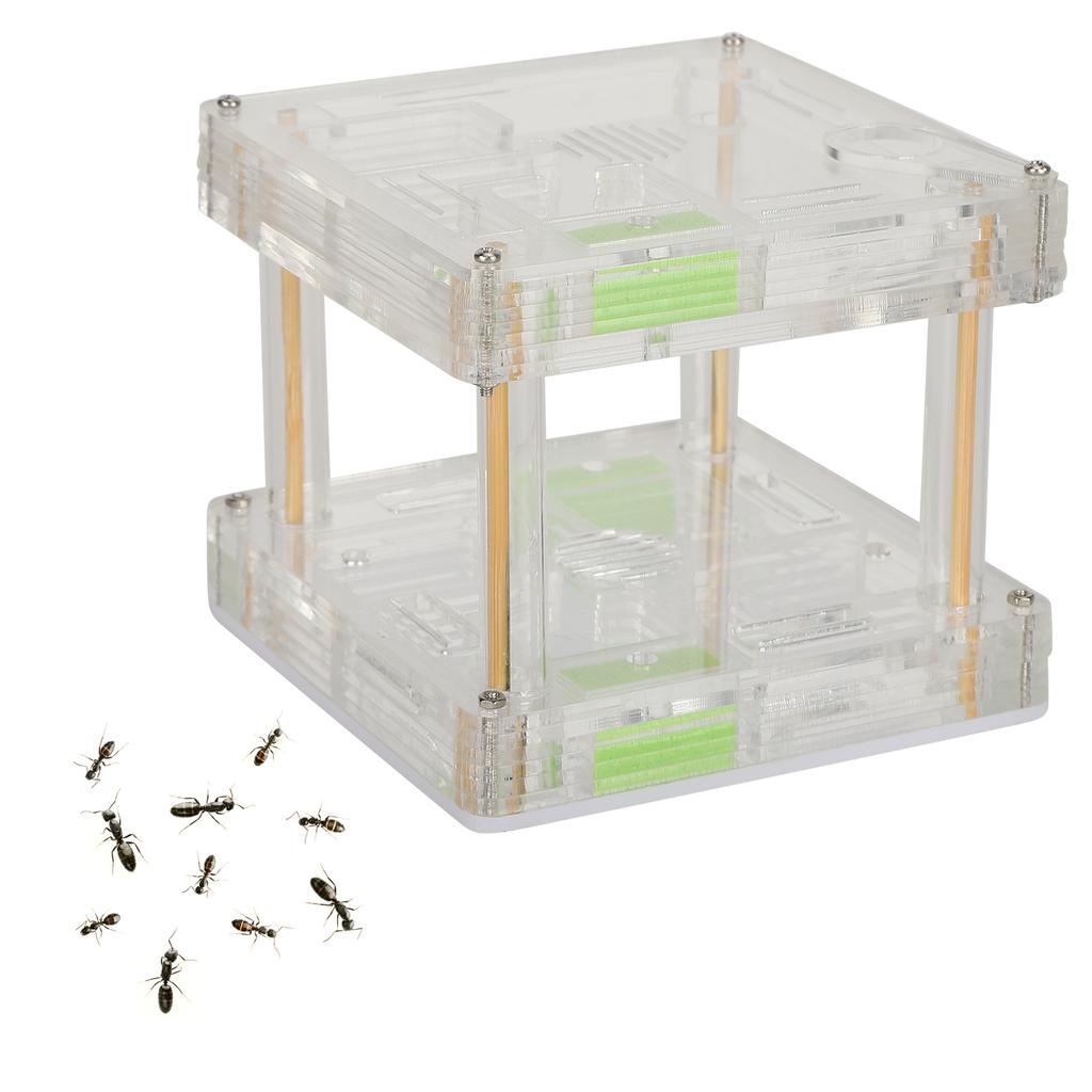 Acrylic Ant Nest Display Box Ant Nest House Hill Castle Villa Farm for Insect Educational