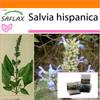 Garden In the Bag - Mexican Chia - 500 Seeds - With Substrate In a Fitting Stand Up Bag - Salvia Hispanica