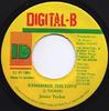 7inch Record JUNIOR TUCKER - Remember The Love NONE Digital-B 1993 Jamaica Reggae, Ska & Dub Used