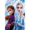Disney Алмазная живопись 5D DIY Замороженные Эльза и Анна Иллюстрация Искусство Мозаика Вышивка Декор Крестик Подарок