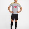 Nike Ливерпуль Dri-Fit FW24 ФК. Футболка-пуловер Strike Third Knit с коротким рукавом, мужская, светло-дымчато-серая FQ2611-078
